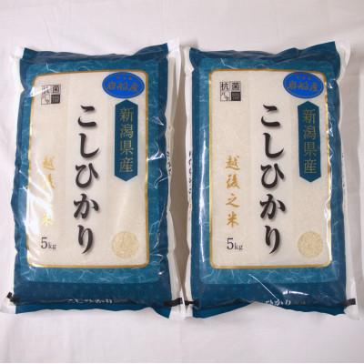 ふるさと納税 村上市 【令和7年産米】新潟県村上市岩船産 コシヒカリ 10kg 1029010