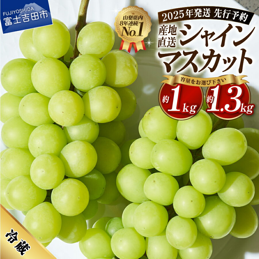 【ふるさと納税】 シャインマスカット フルーツ 選べる容量 1kg 1.3kg 2025年 山梨 大粒 高級 産地直送 富士吉田市 数量限定 期間限定 富士吉田 果物 ぶどう 朝採り 2025年 先行予約 シャイン マスカット ふるさと納税 山梨 富士吉田 山梨県