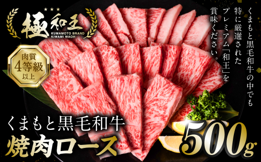 
極和王シリーズ くまもと黒毛和牛 焼肉ロース 500g 熊本県産 牛肉
