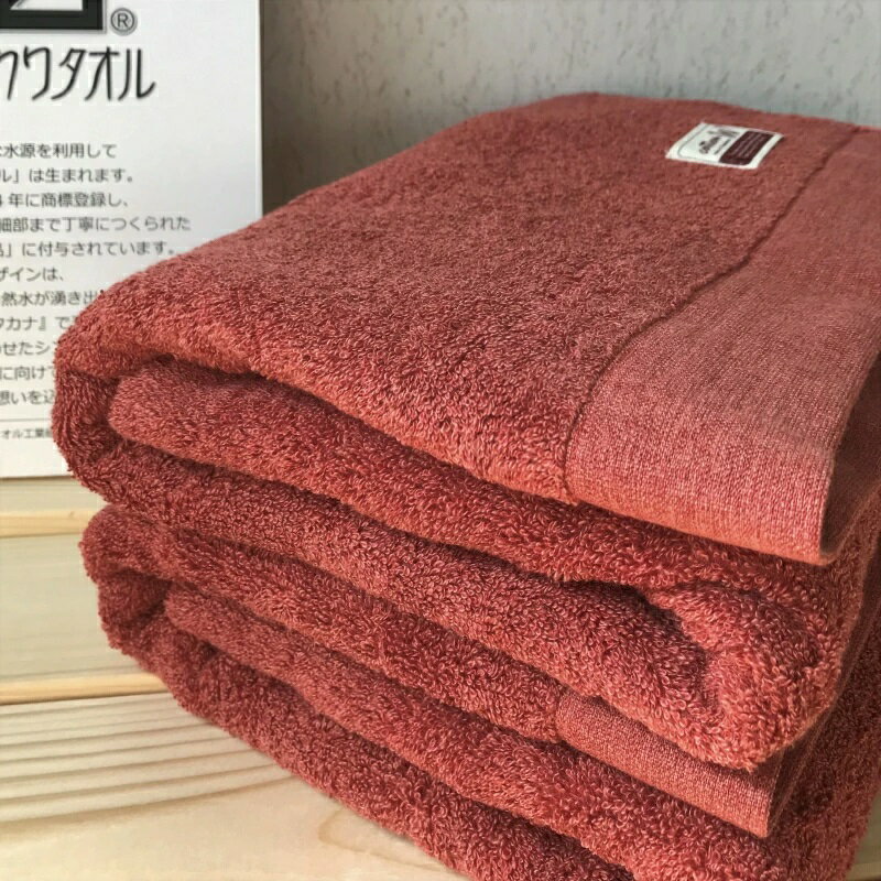 【ふるさと納税】コットンWバスタオル2枚（レッドブラウン）【泉州こだわりタオル】 ※ 厚手 パイル レッド 上質 吸水力 単色