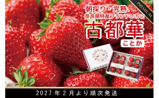 増量4パック 先行予約 数量限定 朝採り 古都華 完熟 2月より順次発送奈良県特産 朝採り高級ブランドいちご「古都華」 // いちご イチゴ 古都華 フルーツ 果物 旬 限定 ブランド 朝採り 完熟 いちご ことか イチゴ 先行予約 古都華 数量限定 古都華 甘い 先行受付 予約 贈答用 ギフト 化粧箱 大粒