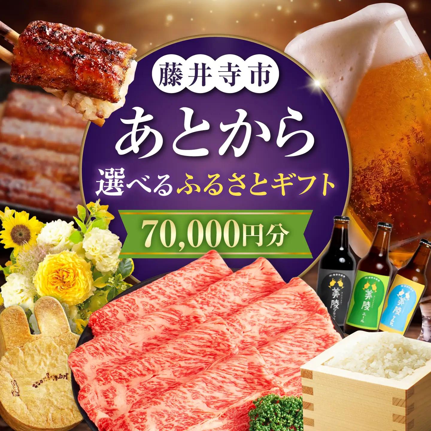 【あとから選べる】藤井寺市ふるさとギフト 7万円分 BLZZ003