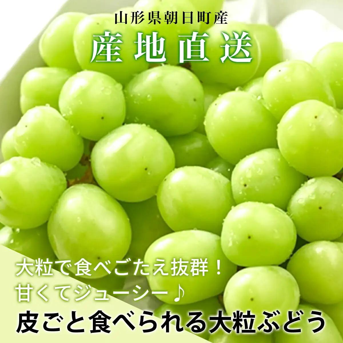 訳あり ぶどう シャインマスカット ピオーネ セット 詰め合わせ 食べ比べ 約 1kg 山形県 農家直送 2026 年発送 種なし 種無し ブドウ 葡萄 グレープ 果物 フルーツ 詰合せ 産地直送 家