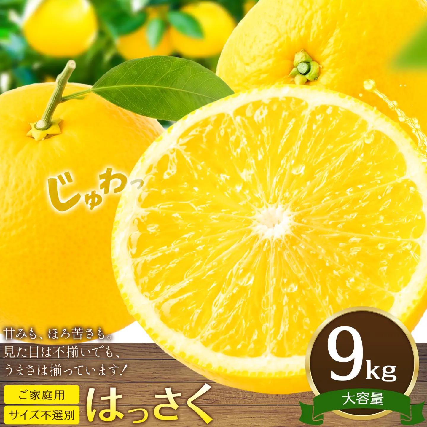  ご家庭用はっさく八朔 9kg