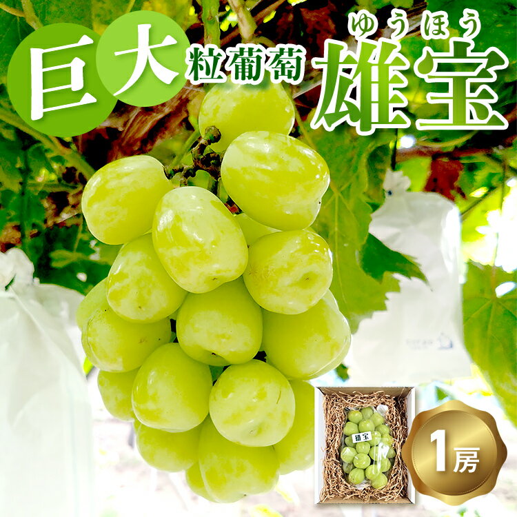 【ふるさと納税】巨大粒ぶどう 雄宝（ゆうほう）1房 | 古田大果園 旬のぶどう フルーツ ぶどう ブドウ 葡萄 大粒 贈答用 高級 果物 広島県産　※2025年8月下旬～9月下旬頃に順次発送予定　※離島への配送不可