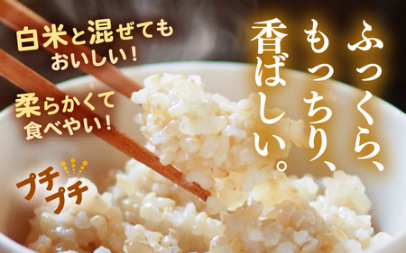 【期間限定】【2ヶ月連続お届け】【令和7年産】発芽玄米 コシヒカリ「特選」特別栽培米使用 10kg（2kg×5袋）×2回（計20kg）【米 こしひかり 玄米 ギャバ GABA 無農薬 特別栽培 食物繊