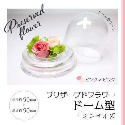 ふるさと納税 美浜町 ブリザーブドフラワー　ドーム型 ピンク×ピンク