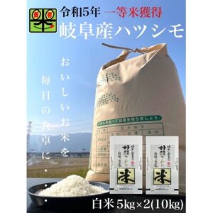 岐阜県養老町産　令和5年産　ハツシモSL　一等米　白米　5kg×2(10kg)【1499391】