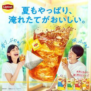 リプトン　水出しアイスティー　ルイボス＆ライチティー　ティーバッグ　10袋　飲料 お茶 紅茶 ティー 水出し 飲み比べ