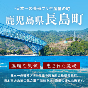 【先行予約】【皮なし】鰤の切り身(約1.0kg)【株式会社島水】shimasui-1506b