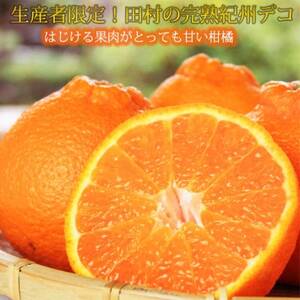 【日高町】高級ブランド田村の完熟紀州デコ(不知火) 約4.5kg【1217361】