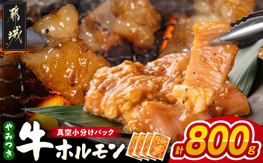
                  やみつき牛ホルモン800g!(真空小分け)_LG8-3307_(都城市) 牛ホルモン 味付き 200g×4P 800g 小分け 真空パック
                