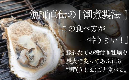 【農林水産大臣賞受賞】 牡蠣 冷凍 宮城県産 牡蠣の潮煮 130g 5個セット 650g 小分け 宮城 カキ かき オイスター むき身 おつまみ パウチ レトルト 食品 惣菜 和風惣菜 簡単調理 時短