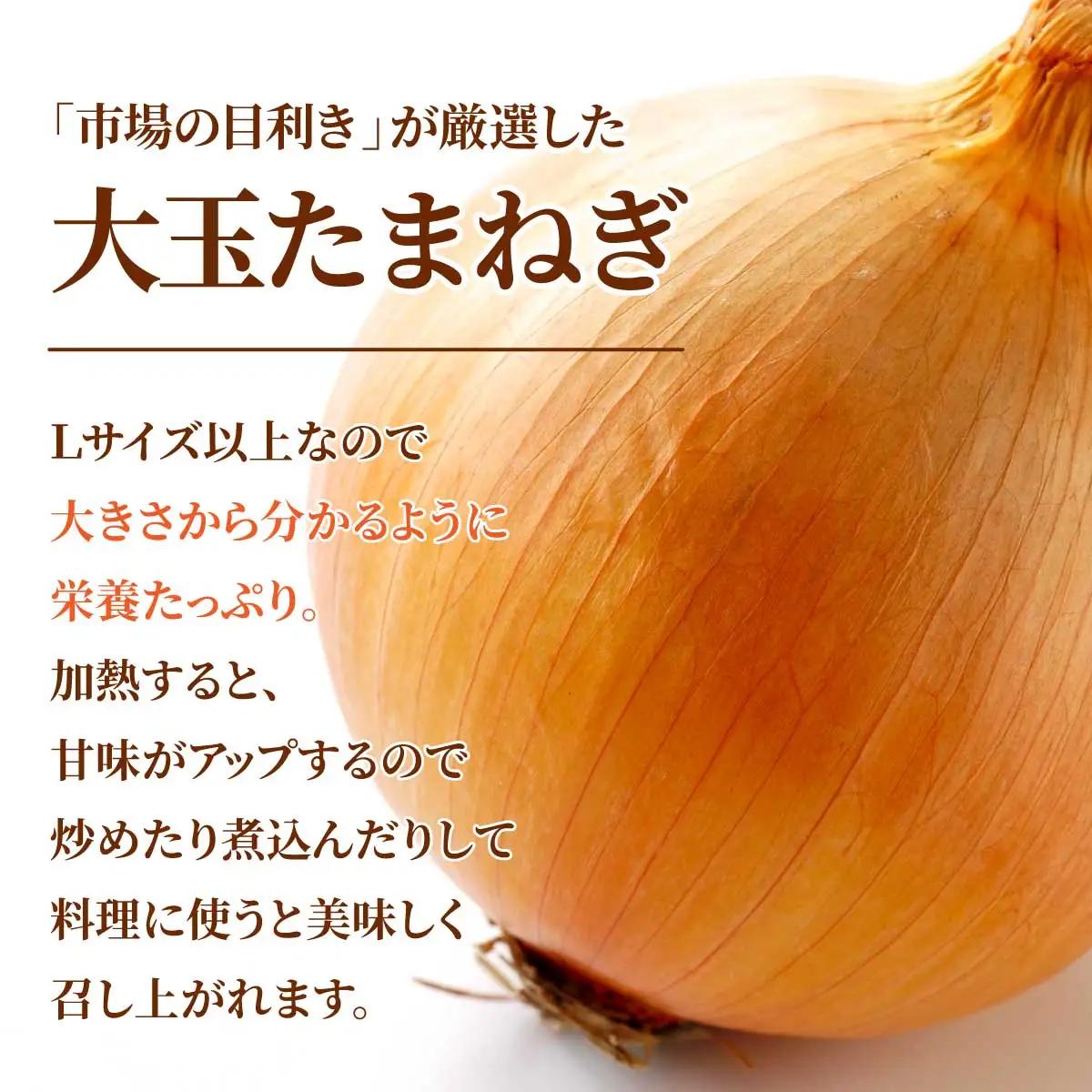 北海道岩見沢産たまねぎ 20kg (市場の目利き・岩力ブランド)【a142-009】