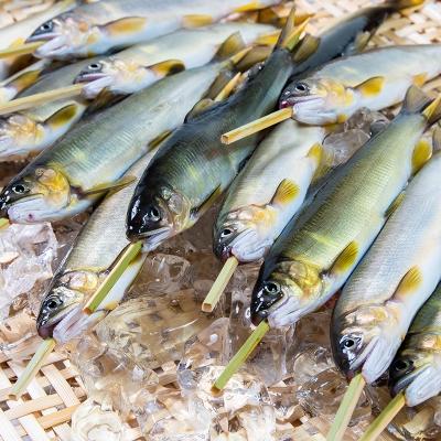 ふるさと納税 西都市 鮎の塩焼き・鮎の甘露煮(冷凍) 宮崎県西都市産鮎[2747] |  | 03