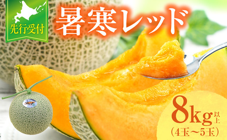 【令和6年産先行受付】北海道メロン 暑寒レッド 4～5玉 (8kg以上×1箱)《2024年10月より発送予定》