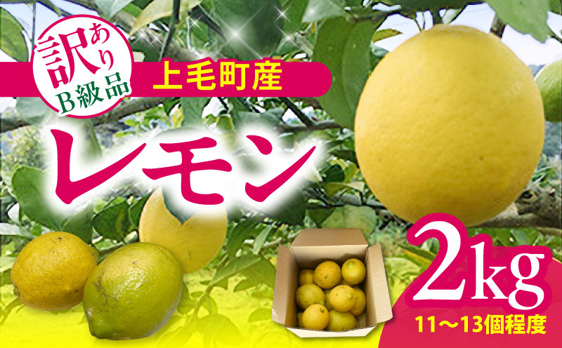 
            上毛町産レモン 訳ありB級品 2kg K06306
          