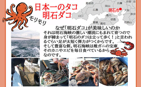 明石ダコのたこしゃぶ 6人前