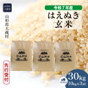 【ふるさと納税】＜令和7年産米先行受付＞ 大蔵村 はえぬき ＜玄米＞ 30kg 定期便（10kg×3回お届け）