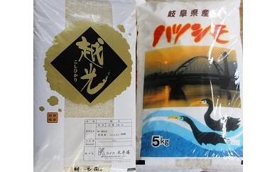 
【16019】富加町産 ハツシモ・コシヒカリ白米各5kg
