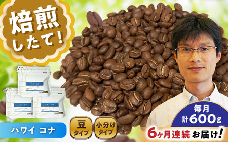 【全6回定期便】ハワイ・コナ　コーヒー豆　200g×3個 (豆)  / コーヒー  ドリップ  豆 / 瀬戸市 / Ｃｏｆｆｅｅ　ＳＡＫＵＲＡ[BBAB060]