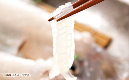 【冷凍】 壱岐産 うに丼セット ＆ アオリイカ 《壱岐市》 【一支國屋】海鮮 うに うに丼 いか イカ アオリイカ 刺身 お刺身 冷凍配送[JCC025]