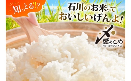 米 定期便 石川米こしひかり【穂立】10kg×3回 総計30kg 令和8年産 新米 [中橋商事 石川県 宝達志水町 38601405] コシヒカリ お米 コメ 3ヶ月 白米 精米 おこめ こめ 能登 
