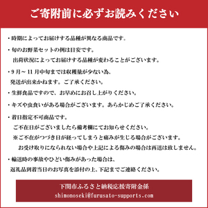 野菜 詰め合わせ 5回 定期便 野菜 野菜 野菜 野菜 IN003