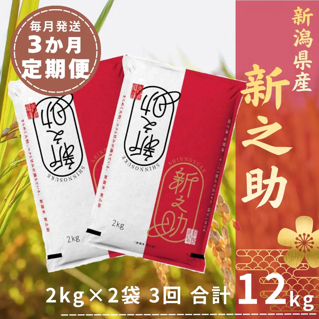 【令和8年産新米予約】【3ヶ月定期便】 新之助 4kg (2kg×2袋)×3回 計12kg 白米 精米 井上米穀店 新潟県 米 こめ コメ 新米 新米予約 令和8年度産 11月上旬より順次発送予定 1I16026