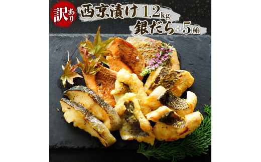 西京漬け 1.2kg 6種セット (銀ダラ ＋その他5種) 【訳あり】| 西京漬け( サイキョウヅケ さいきょうづけ )  西京漬け 銀だら ハモ ブリ 鰤 黒鯛 スズキ 鱸 西京漬け 鯖 サバ 鮭 サケ 赤魚 鯖 サバ 