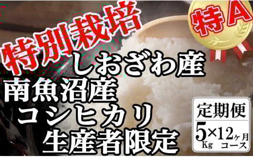 【令和7年産】【定期便：5Kg×12ヶ月】特別栽培 生産者限定 南魚沼しおざわ産コシヒカリ【2025年10月上旬より順次発送予定】
