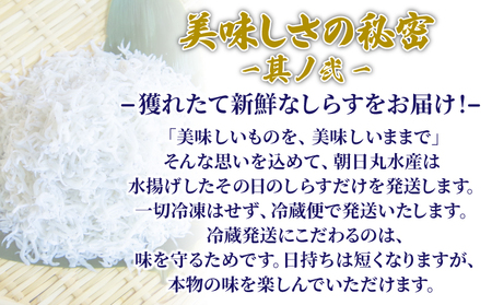 釜揚げ しらす 500g 冷蔵 国産 徳島県産 和田島産 とれたて 新鮮 産地直送 発送 小分け 250g 2袋 セット 和田島しらす ちりめん 魚介類 魚 小魚 【北海道、東北、沖縄、離島配送不可】