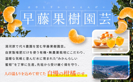 有機みかんジュース 果汁100%　1000ml×6本 | 湯河原町 有機農園 自然の甘さ 手作りジュース 青島みかん ビタミン