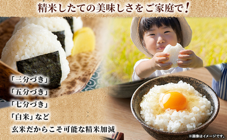 ＜令和7年産 ちほみのり 玄米 10kg＞げんまい 米 こめ コメ ご飯 穀物 10キロ 産地直送 愛媛県産 西予市産 特産品 やまこのうえん 愛媛県 西予市【常温】『2025年9月上旬より順次出荷予