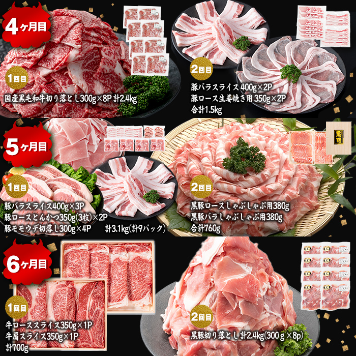 【定期便11ヶ月】ししまる定期便S(11ヶ月連続 月1～2回お届け！・計44.06kg) 黒毛和牛 黒豚 国産牛 九州産 豚 豚肉 肉 牛肉 国産 4等級 小分け 真空包装 冷凍 t0372-001