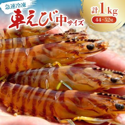 ふるさと納税 宜野座村 【養殖場から直送】急速冷凍車えび 中サイズ 1kg(44〜52尾/500g×2P)
