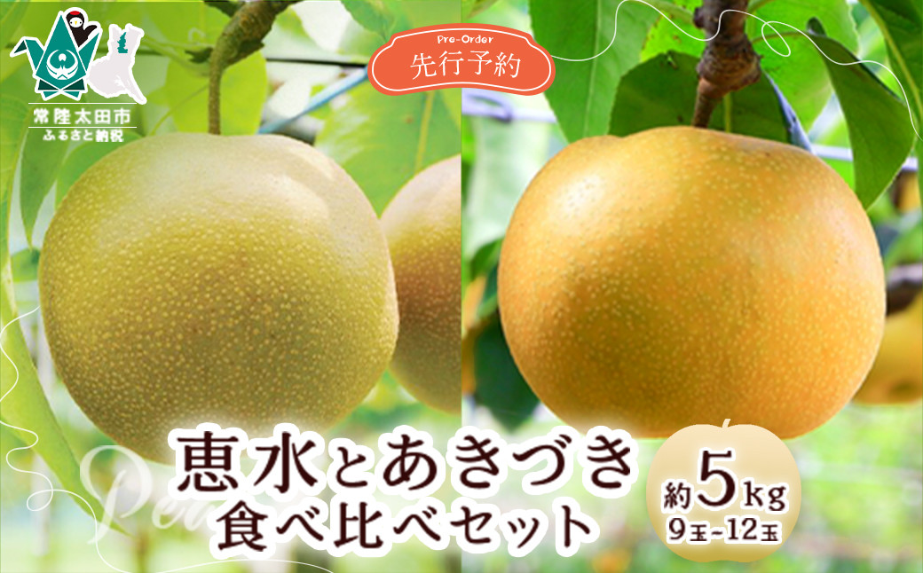 
            【先行予約 数量限定】梨 2種食べ比べ 恵水 と あきづき セット 約5kg 9玉～12玉【茨城県 常陸太田市 桧山果樹園 ぶどう ブドウ シャインマスカット 梨 フルーツ 高級 産地直送 限定品 贈り物 新鮮 お取り寄せ デザート ギフト 風味豊か 香り 上品 希少価値 珍しい 地域 甘い 限定 果物 果樹】
          