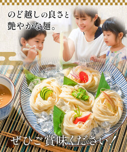 ひやむぎ 冷麦 そうめん 素麺 手延べ 手延べひやむぎ 1.8kg (180g×10束) 宮田製麺株式会社《30日以内に出荷予定(土日祝除く)》岡山県 浅口市 送料無料 麺 贈答用 ギフト お取り寄せ