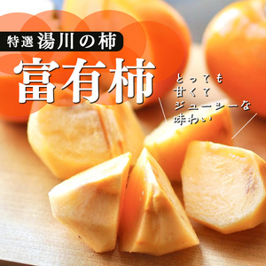 【 贈答用 富有柿 】 上田さんちの柿  | フルーツ くだもの 果物 柿 かき カキ  奈良県 五條市柿 奈良県 日本一の柿のまち 秋の味覚 自宅用 家庭用 特産品 