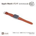 【ふるさと納税】Apple Watch バンド 42/44/45mm用 キャメル 革 天然 皮革 男女兼用 贈り物 ギフト プレゼント いたがき　 ファッション小物 ファッション 革小物 レザー AppleWatchバンド 革が馴染んでフィット 　お届け：2024年11月上旬～2025年4月上旬まで