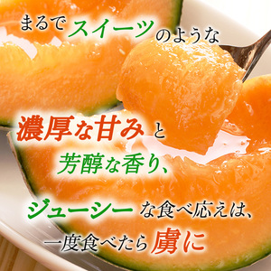 【糖度限界突破】ふらの赤肉メロン Lサイズ（約1.7kg/玉）2玉 2025年発送 北海道 富良野 上富良野 ふらの 赤肉 メロン めろん フルーツ 果物 ふるーつ