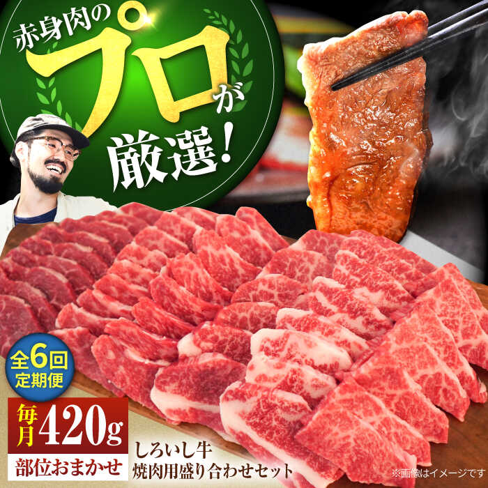 【ふるさと納税】【牧場直送】【6回定期便】佐賀県産しろいし牛 焼肉用盛り合わせセット(希少部位) 420g×6回 【有限会社佐賀セントラル牧場】モモ カタ 肩 バラ 肉 お肉 牛肉 焼き肉 BBQ 冷凍 [IAH024]