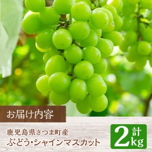 s097 ＜先行予約受付中！2025年8月下旬〜10月上旬頃に発送予定＞鹿児島県さつま町産のぶどう♪シャインマスカット(2kg)皮ごと食べられる！ジューシーで上品な甘みのブドウ【大蔵果樹園】