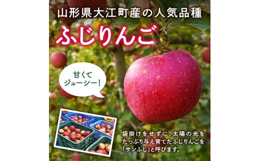 《先行受付》【2027年2月発送予定】 訳あり 雪室りんごサンふじ 約5kg【大江町産・山形りんご・大地農産】