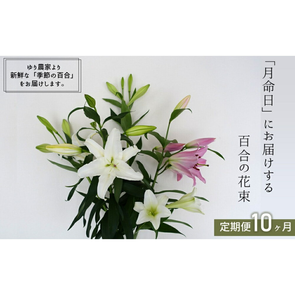 【ふるさと納税】月命日にお届けします！ 生産者直送 百合の花束 5本〜7本/回 10ヶ月連続定期便