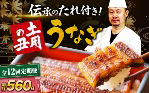 鰻【全12回定期便】うなぎ 蒲焼き 冷蔵 真空パック 4尾セット（2尾×2箱） ウナギ 絶品 国産 うな丼 鰻丼 うな重 鰻重 かば焼き 蒲焼 高級 丑の日 土用の丑の日 おすすめ 人気 お取り寄せ 送料無料 贈答 冷蔵 真空パック ギフト グルメ 惣菜 簡単調理 時短 湯煎 栄養満点 健康 贅沢 ご褒美 逸品 極上 ふっくら ふわふわ 食感 愛媛県大洲市/有限会社 樽井旅館[AGAH021]