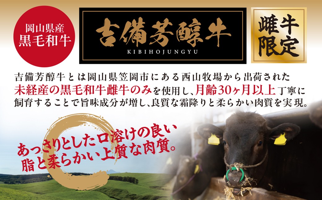 【岡山県産・黒毛和牛】吉備芳醇牛 サーロインステーキ 約250g×2枚入り