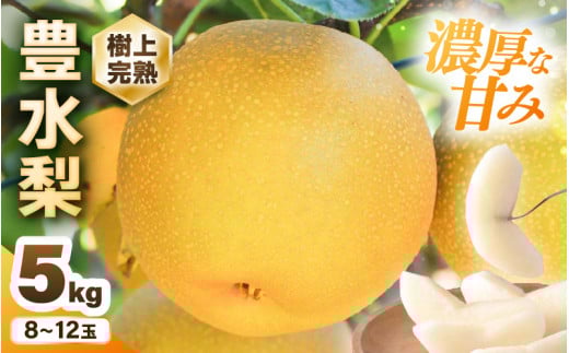 豊水梨 1箱 5kg入り (8～12玉) 樹上完熟！濃厚な甘さに手が止まらない！甘～いゆみたかの豊水梨 【梨 和梨 赤梨 なし フルーツ 甘い みずみずしい 果実 果物 新鮮 旬の果物 産地直送】 [B-16205]