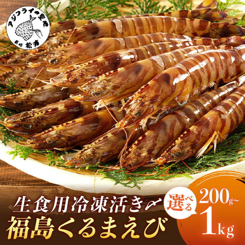 【ふるさと納税】＼お中元／生食用冷凍活き〆福島くるまえび 200g 400g 500g 1kg ふるさと納税 車海老 長崎 ふるさと納税 車エビ ふるさと納税 クルマエビ くるまえび えび エビ 海老 生食用 甲殻類 海産物 お刺身 冷凍 活き車えび ふるさと納税 松浦市 車海老