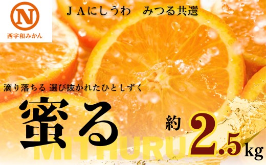 
                  【先行受付】JAにしうわの季節の柑橘(みつる共選「蜜る」約2.5kg)【C08-74】みかん ミカン 蜜柑 果物 くだもの フルーツ デザート おいしい 甘い かんきつ 柑橘 柑橘類 国産 愛媛 えひめ 愛媛県 八幡浜市【1447980】 YWTV031
                